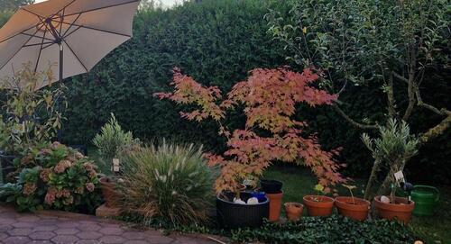 Foto - Einfamilienhaus EFH Peine Schwicheldt 4 Zimmer mit Grundstück