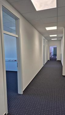 Foto - andere in Prisdorf