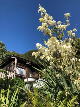 Foto - Grundst&uuml;ck in Sonneberg