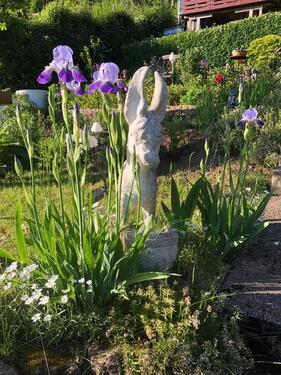 Foto - Grundst&uuml;ck in Sonneberg zur Miete