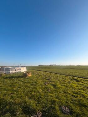 Foto - WG Zimmer in einer großen Wohnung