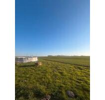 WG Zimmer in einer großen Wohnung - Westerkappeln