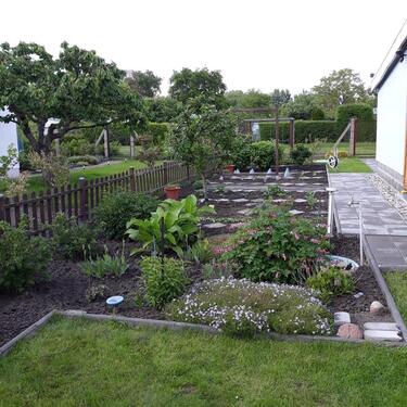 Foto - Grundst&uuml;ck zur Miete in Cottbus