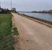 Grundstück zu vermieten für Eiswagen oder imbisswagen - Bornheim