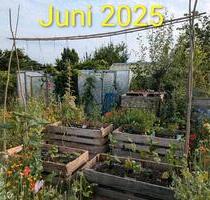 Kleingarten in Hattorf ab sofort abzugeben - Wolfsburg Detmerode