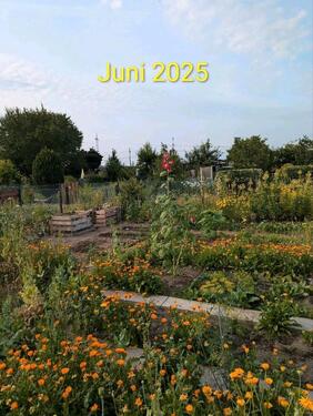 Foto - Grundst&uuml;ck in Wolfsburg