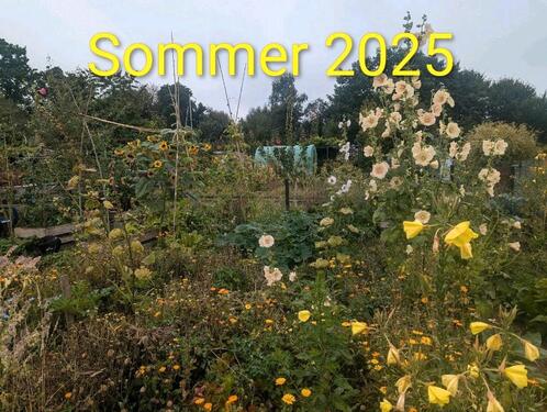 Foto - Grundst&uuml;ck in Wolfsburg zur Miete