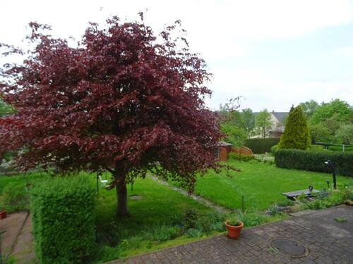 Foto - WE 358 Ruhig und sonnig gelegene 3-Zimmer-Wohnung im Hochparterre in Auma zu vermieten