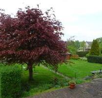 WE 358 Ruhig und sonnig gelegene 3-Zimmer-Wohnung im Hochparterre in Auma zu vermieten - Zeulenroda-Triebes
