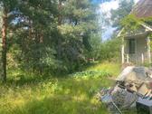Foto - Ihr Traumgrundstück in Finnland – 1.500 m² für nur 5.000 €!