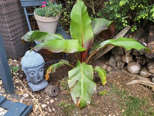 Foto - 3 Zimmer Etagenwohnung in Würzburg