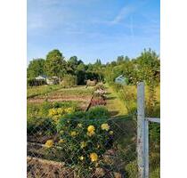 Schrebergarten - 1.800,00&nbsp;EUR Kaltmiete, ca.&nbsp; 0,00&nbsp;m&sup2; in Hildesheim (PLZ: 31137) Himmelsthür