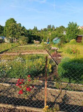 Foto - Grundst&uuml;ck in Hildesheim zur Miete