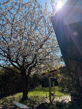 Foto - 6 Zimmer Einfamilienhaus in Rerik