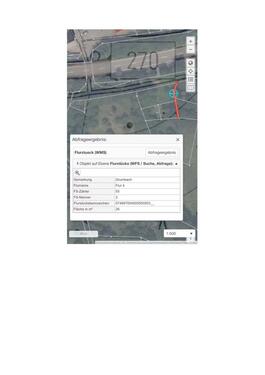 Foto - Waldgrundstück in 67745 Grumbach – Bushcraft & Outdoor