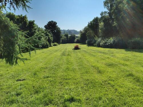 Foto - Einfamilienhaus zur Miete in Inning am Ammersee