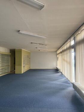 Foto - andere in Freiburg im Breisgau