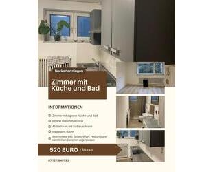 1Zimmer Wohnung - 520,00&nbsp;EUR Kaltmiete, ca.&nbsp; 40,00&nbsp;m&sup2; in Neckartenzlingen (PLZ: 72654)