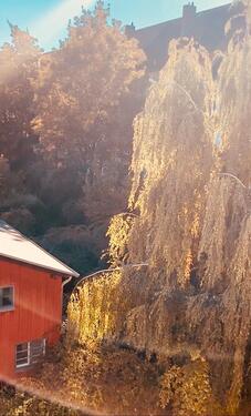 Foto - 2 Zimmer Dachgeschoßwohnung zur Miete in Schwerin