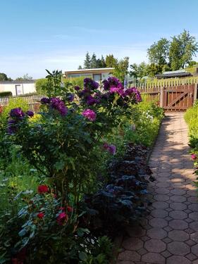 Foto - Grundst&uuml;ck zur Miete in Weißendorf