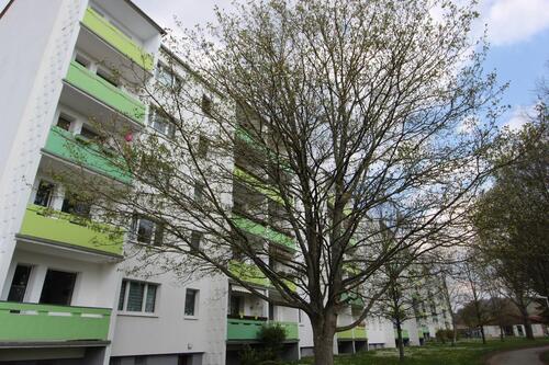 Foto - Etagenwohnung zur Miete in Gera