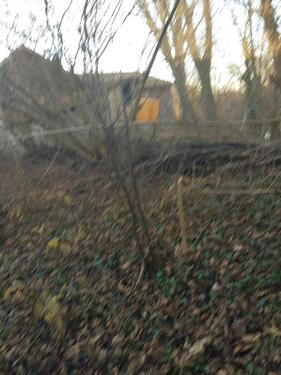 Foto - Einfamilienhaus in Roßbach zum Kaufen