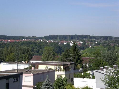 Foto - 