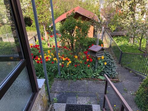 Foto - 5 Zimmer Einfamilienhaus in Bovenden