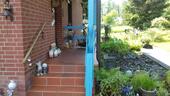 Foto - Einfamilienhaus in Bad Sachsa zum Kaufen