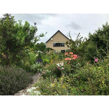 Foto - TORGAU wunderschönes Einfamilienhaus