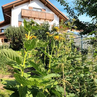 Foto - 3 Zimmer Einfamilienhaus zum Kaufen in Bodenmais