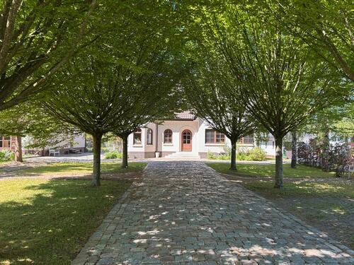 Foto - 4 Zimmer Erdgeschoßwohnung zur Miete in Ostrhauderfehn