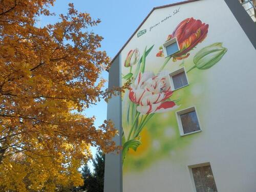 Foto - Sonnige 2-Zimmer-Wohnung Nähe KLINIKUM