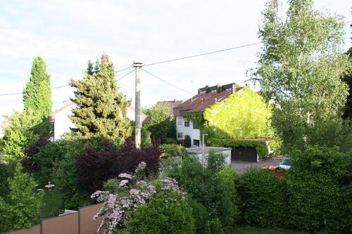 Foto - 