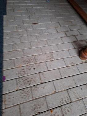 Foto - andere in Leipzig