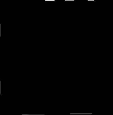 Foto - 3-Zi.-Whg in Gemmrigheim ab 01.03.2026 zu vermieten
