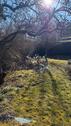 Foto - Freistehendes Einfamilienhaus in Sinzing