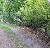 Anliegerwohnung mit Sonnenterasse - Schneverdingen