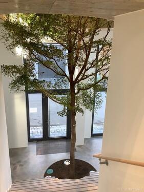 Foto - Moderne Büroflächen in der Carderie in Wangen zu mieten