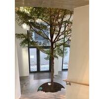 Moderne Büroflächen in der Carderie in Wangen zu mieten - Wangen im Allgäu