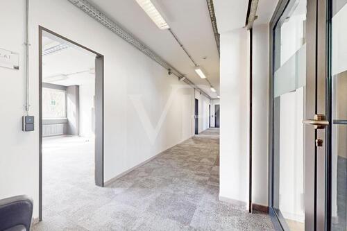 Foto - andere in Bonn