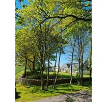 Wohnen und Arbeiten unter einem Dach - Niebüll