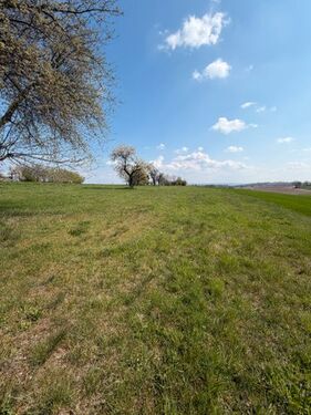 Foto - Grundst&uuml;ck in Nebra (Unstrut)