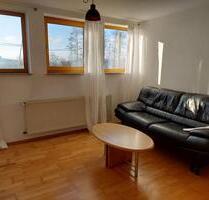 Helle Souterrainwohnung in ruhiger Lage mitten in der Natur - Petersberg