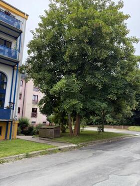 Foto - Kfz-Stellplatz in Plauen-Südvorstadt ab sofort zu vermieten