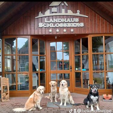 Foto - Reisegutschein 2 Nächte Hochsauerland Nähe Winterberg mit Hund