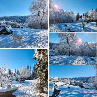 Foto - andere zur Miete in Medebach