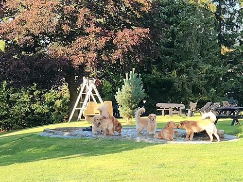 Foto - andere in Medebach