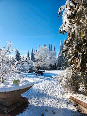 Foto - andere in Medebach zur Miete