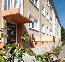 Idyllisch Wohnen - 330,00&nbsp;EUR Kaltmiete, ca.&nbsp; 56,58&nbsp;m&sup2; in Kemberg (PLZ: 06901)